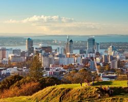 auckland-city